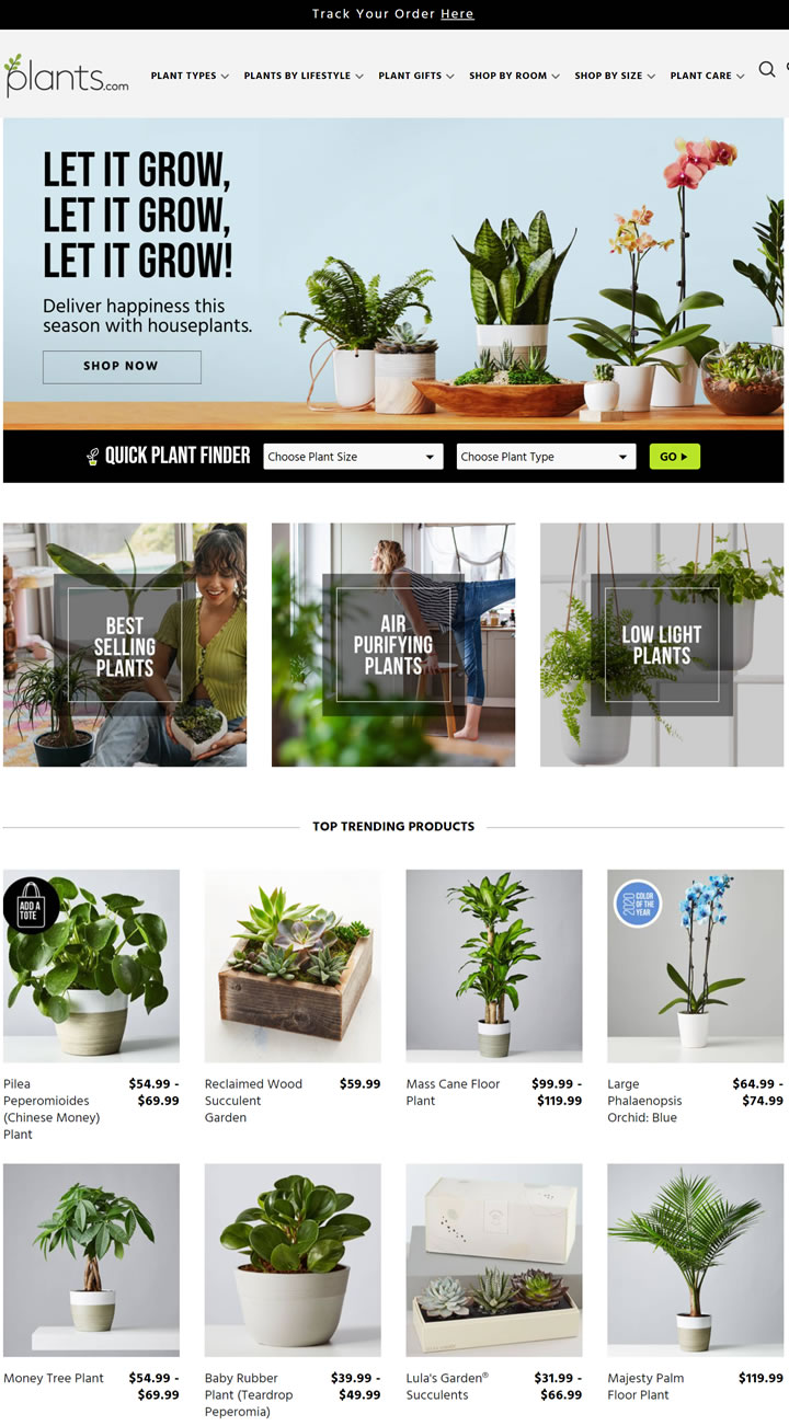 美國室內盆栽植物購買網站：Plants.com 美國購物網站 MeetKK-MeetKK